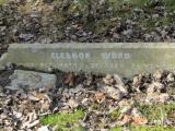 image of grave number 732822